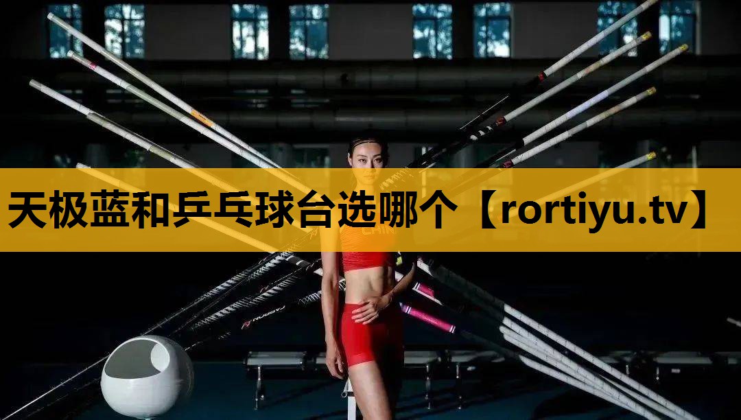 天极蓝和乒乓球台选哪个